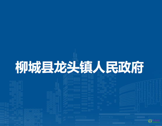 柳城县龙头镇人民政府