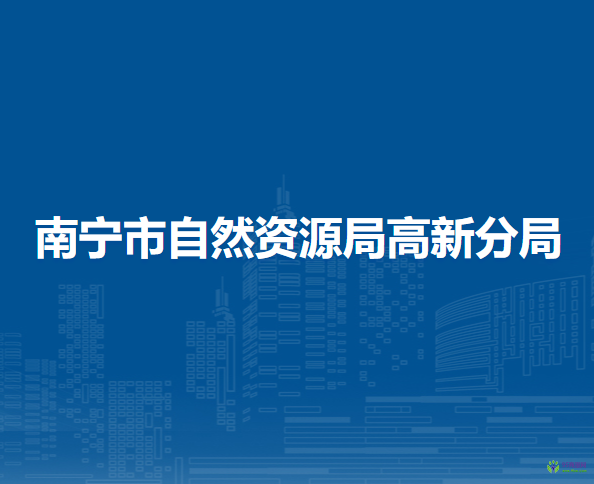 南宁市自然资源局高新分局