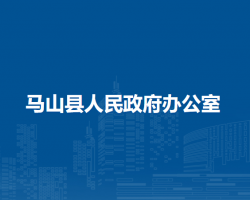 马山县人民政府办公室默认相册