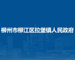 柳州市柳江区拉堡镇人民政府