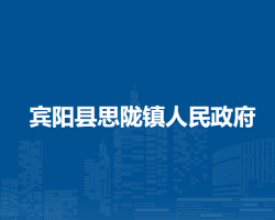 宾阳县思陇镇人民政府