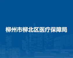 柳州市柳北区医疗保障局