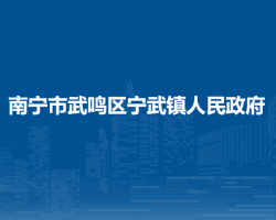 南宁市武鸣区宁武镇人民政府