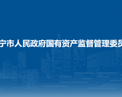 南宁市人民政府国有资产监督管理委员会