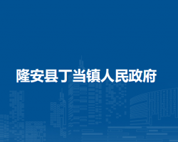 隆安县丁当镇人民政府