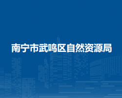 南宁市武鸣区自然资源局