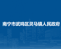 南宁市武鸣区灵马镇人民政府默认相册