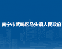 南宁市武鸣区马头镇人民政府默认相册