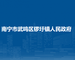 南宁市武鸣区锣圩镇人民政府