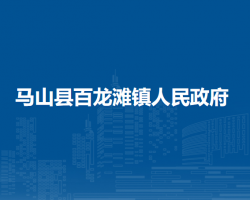 马山县百龙滩镇人民政府