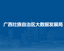 广西壮族自治区大数据发展局