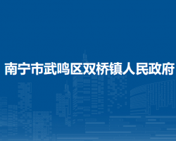 南宁市武鸣区双桥镇人民政府