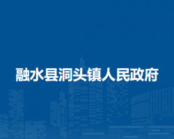 融水县洞头镇人民政府