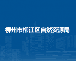 柳州市柳江区自然资源局