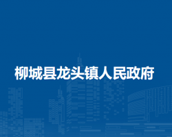 柳城县龙头镇人民政府