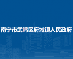 南宁市武鸣区府城镇人民政府