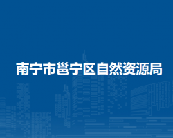 南宁市邕宁区自然资源局