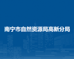 南宁市自然资源局高新分局