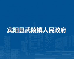 宾阳县武陵镇人民政府