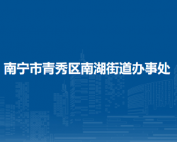 南宁市青秀区南湖街道办事处