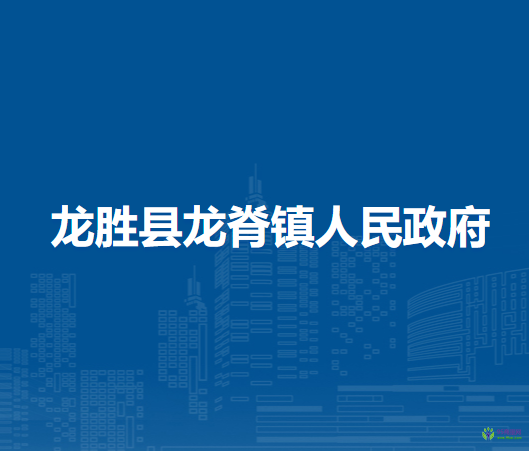 龙胜县龙脊镇人民政府