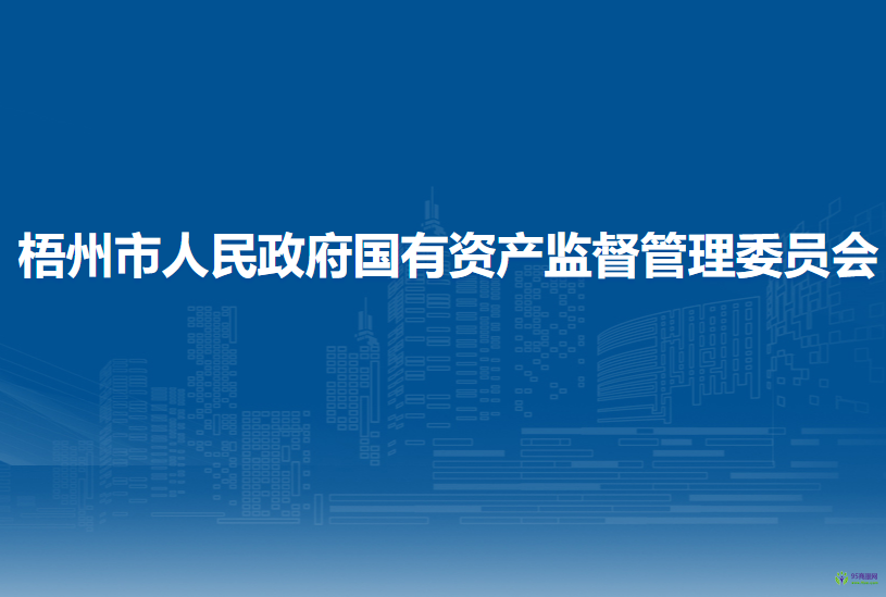 梧州市人民政府国有资产监督管理委员会