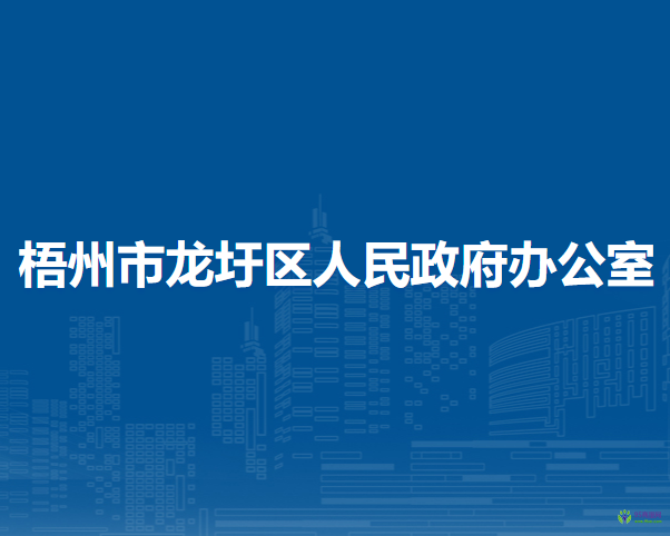 梧州市龙圩区人民政府办公室