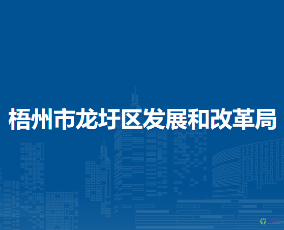 梧州市龙圩区发展和改革局