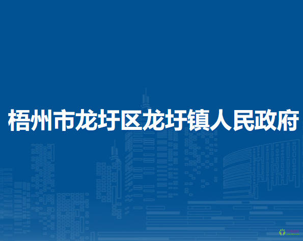 梧州市龙圩区龙圩镇人民政府