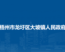 梧州市龙圩区大坡镇人民政府