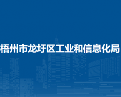 梧州市龙圩区工业和信息化局