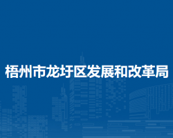 梧州市龙圩区发展和改革局