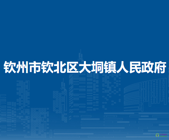 钦州市钦北区大垌镇人民政府