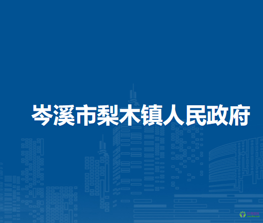 岑溪市梨木镇人民政府