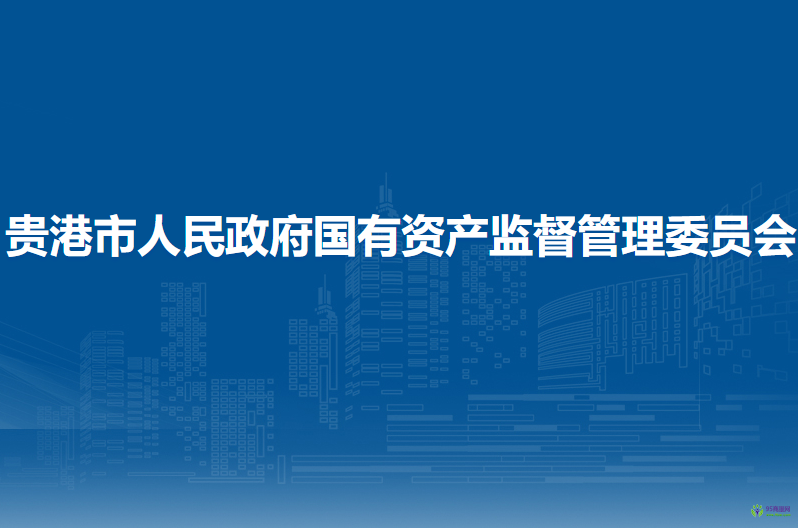 贵港市人民政府国有资产监督管理委员会