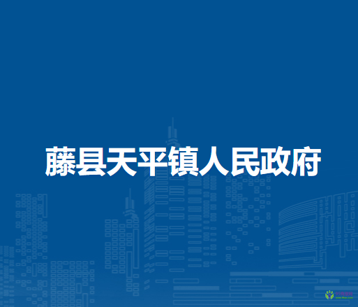 藤县天平镇人民政府