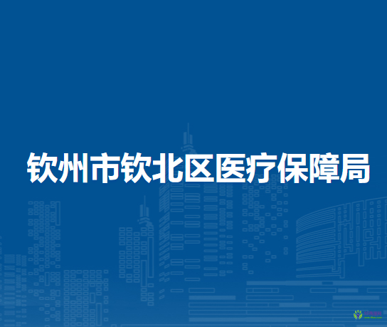 钦州市钦北区医疗保障局