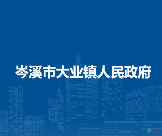 岑溪市大业镇人民政府