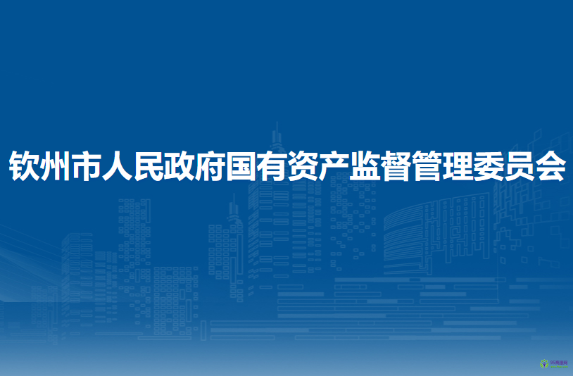 钦州市人民政府国有资产监督管理委员会