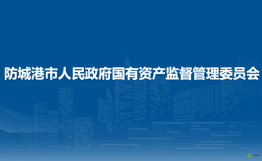 防城港市人民政府国有资产监督管理委员会