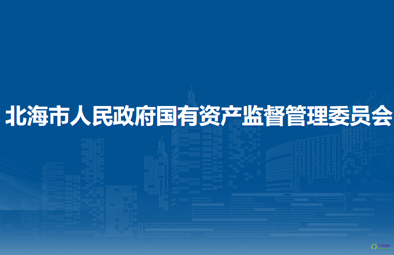 北海市人民政府国有资产监督管理委员会