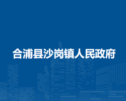 合浦县沙岗镇人民政府