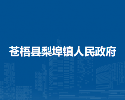 苍梧县梨埠镇人民政府