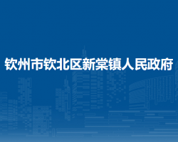 钦州市钦北区新棠镇人民政府