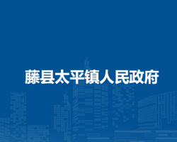 藤县太平镇人民政府