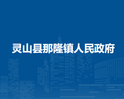 灵山县那隆镇人民政府