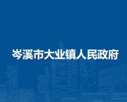 岑溪市大业镇人民政府