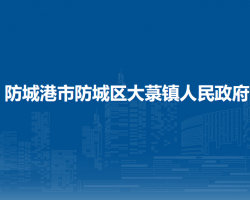 防城港市防城区大菉镇人民政府