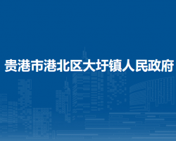 贵港市港北区大圩镇人民政府