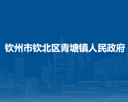 钦州市钦北区青塘镇人民政府